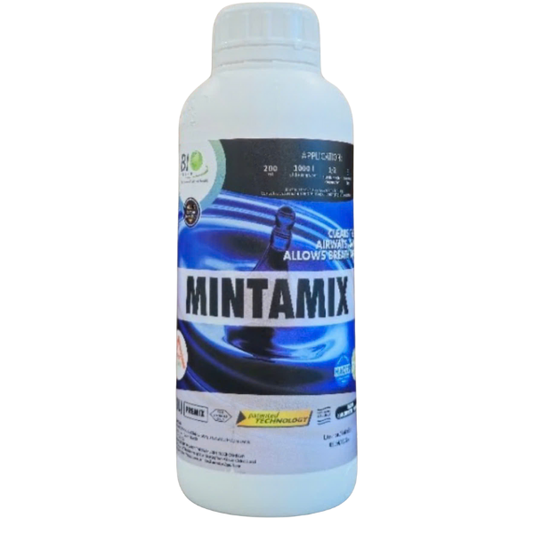 Mintamix